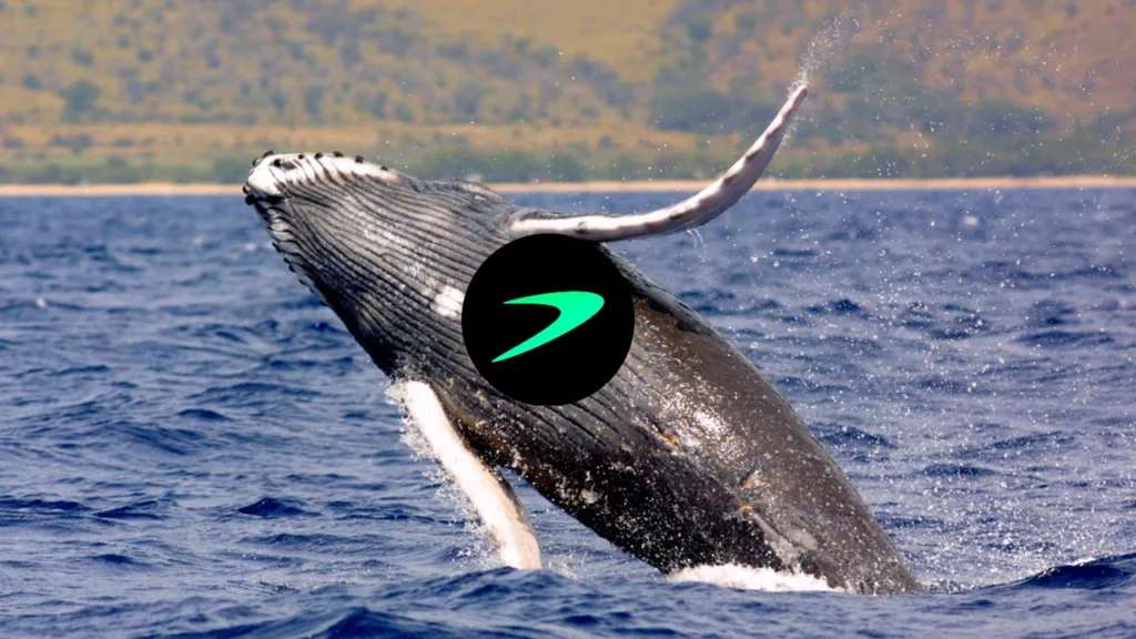 trb balinalarin baskisiyla karsi karsiya kalabilir CQlAlVaM.jpg
